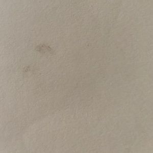 Meet your Posher, MEKA